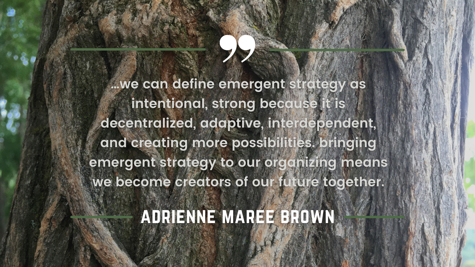 background is over tree with thick brown bark and green behind truck, quote is written "...we can define emergent strategy as intentional, strong because it is decentralized, adaptive, interdependent, and creating more possibilities. bring emergent strategy to our organizing means we become creators of our future together." - adrienne maree brown
