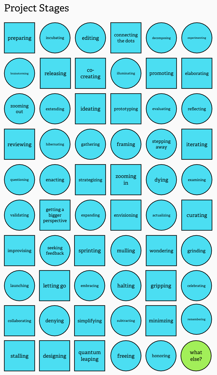 Project Stages visual with each stage in a blue circle or square lined up in a long rectangle. Last circle on the bottom right has 'what else?' written in it. Refer to end notes for full list of project stages.