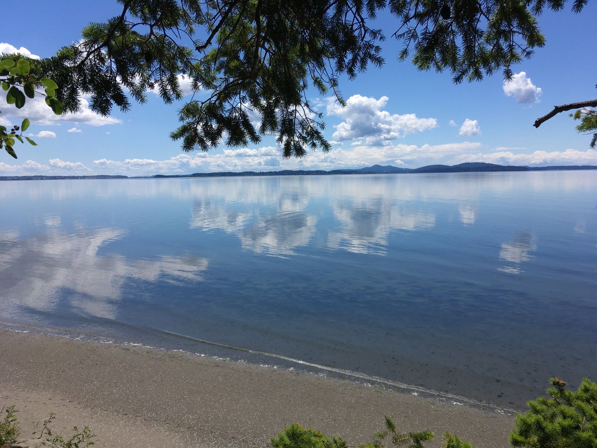 flat beach sand calm waters puffy clouds reflect off water+in sky-low mountains beyond-pine tree branches at top+bottom frame