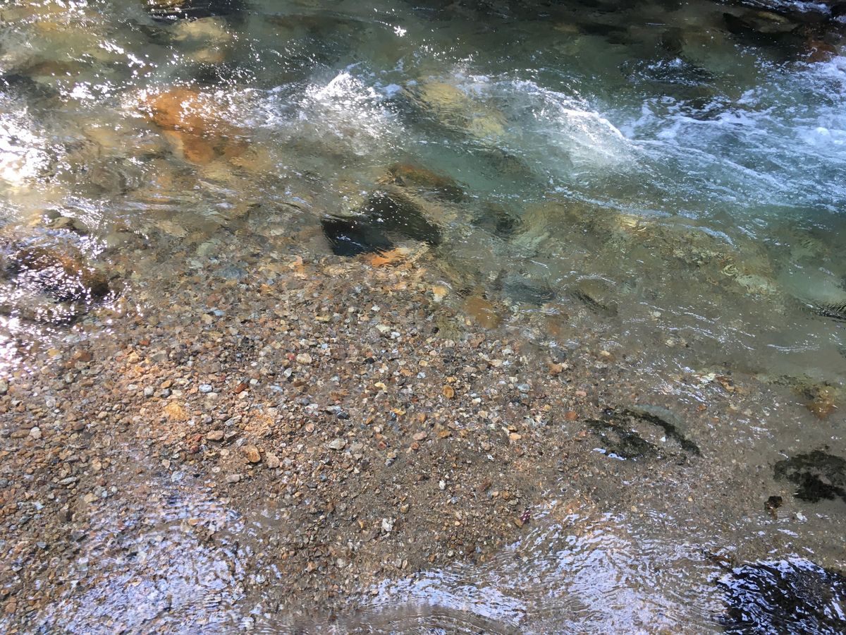 creek water moving with beige, gray and black rocks, pebbles, and sand at the bottom.